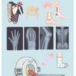 Vårdens värld – upptäck och utforska - bild 5