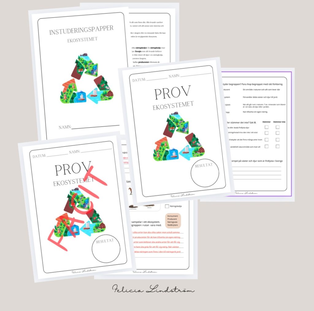 Ekosystemet – Prov, facit och instuderingspapper.