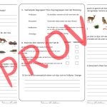 Ekosystemet – Prov, facit och instuderingspapper. - bild 2