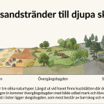 Landskap: Halland - bild 3