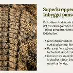 GOTD – Krokodilen - bild 3