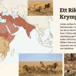 GOTD – Lejon - bild 3