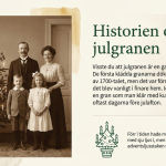 GOTD – Svensk jultradition - bild 3