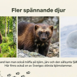 Landskap: Jämtland - bild 4