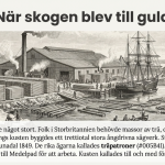 Landskap: Medelpad - bild 4