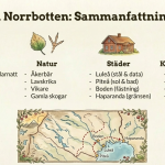 Landskap: Norrbotten - bild 2