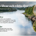 Landskap: Västerbotten - bild 4