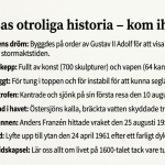 Regalskeppet Vasa - bild 3