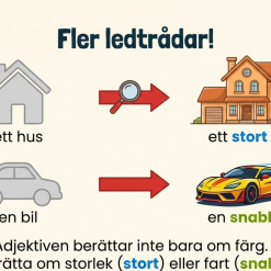 Nybörjare med adjektiv