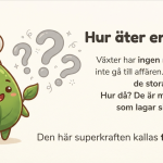 Fotosyntesen - bild 4