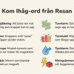 Matens väg genom kroppen - bild 2