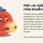 Blodomloppet - bild 5