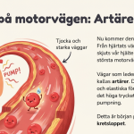Blodomloppet - bild 4