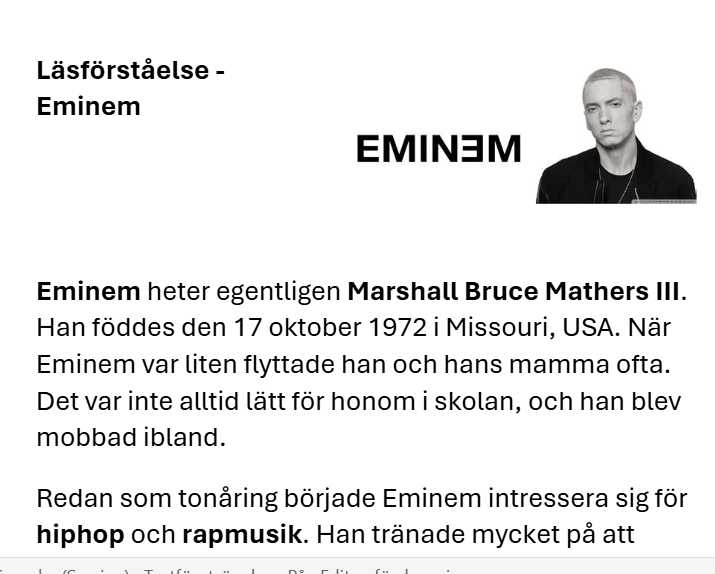 Läsförståelse Hip-hop artister