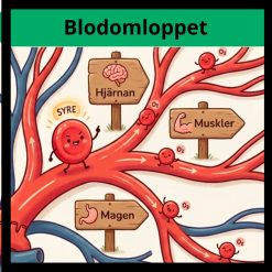 Blodomloppet