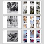 Djur på vintern, klippövningar - bild 1