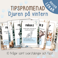 Vinter - Tipspromenad - Vad gör djuren på vintern?