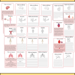 Tema Kroppen- SVA anpassad-kroppens delar och organ-matens väg genom kroppen- 61 sidor - bild 2