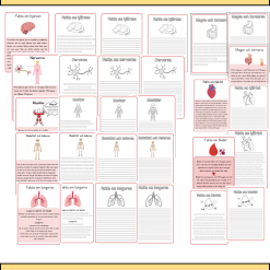 Tema Kroppen- SVA anpassad-kroppens delar och organ-matens väg genom kroppen- 61 sidor