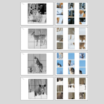 Djur på vintern, klippövningar - bild 2