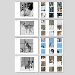 Djur på vintern, klippövningar