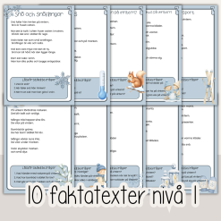 Vinter - Läsförståelse om vintern i tre olika nivåer – 10 olika vinterteman