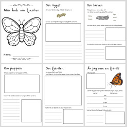 Min bok om fjärilen