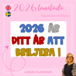Nyårsfest 2026 - bild 3