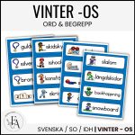 Vinter-OS | Ord och begrepp - bild 1