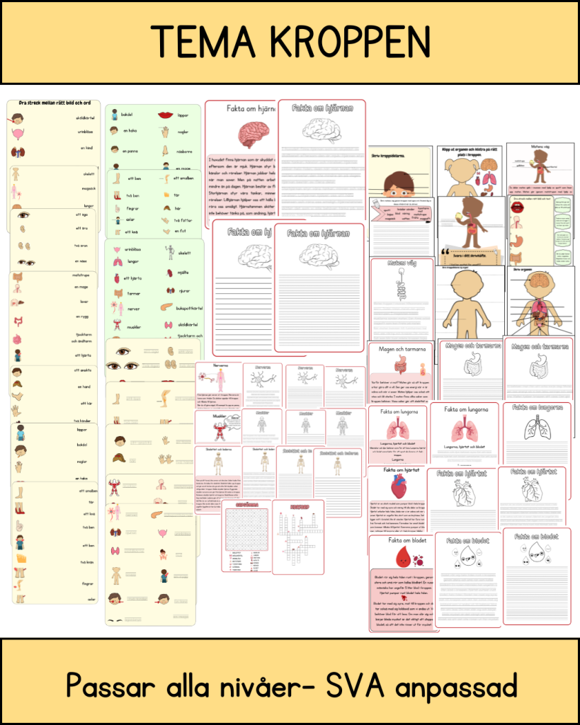 Tema Kroppen- SVA anpassad-kroppens delar och organ-matens väg genom kroppen- 61 sidor