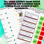 Vikingatiden: arbetshäfte med lätt material - bild 4