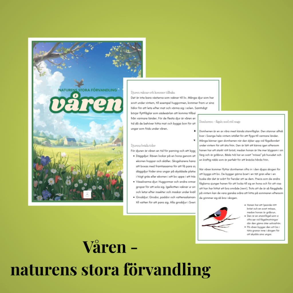 Våren – naturens stora förvandling
