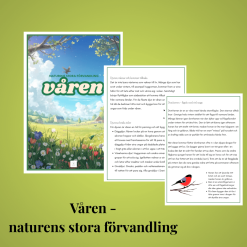 Våren - naturens stora förvandling