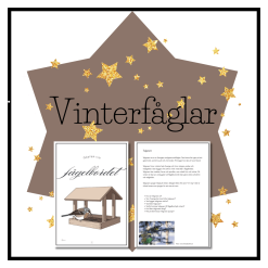 Gäster vid fågelbordet