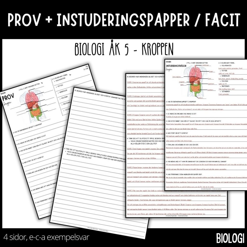 Biologi – ÅK 5 – prov & instuderingspapper – kroppen