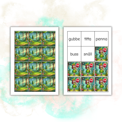 Läsjakten nivå 10 - dubbelteckning