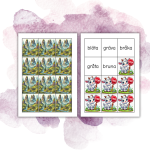 Läsjakten nivå 7 – 5 bokstäver/konsonantförbindelser i början - bild 2