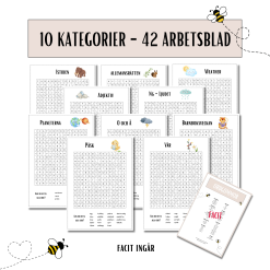 Storpack: 42 Ordgömmor - med facit