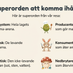 Ekosystemet - bild 6