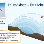 Fakta om Grönland - bild 6