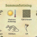 Fakta om ormar - bild 3