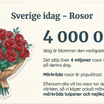 Alla hjärtans dag - bild 3