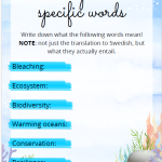 Chasing coral – ett tema om koraller - bild 2