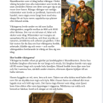 Vikingatiden arbetshäfte - bild 19