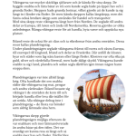 Vikingatiden arbetshäfte - bild 17