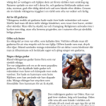 Vikingatiden arbetshäfte - bild 16