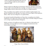 Vikingatiden arbetshäfte - bild 15