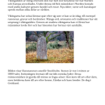 Vikingatiden arbetshäfte - bild 14