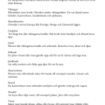 Vikingatiden arbetshäfte - bild 13