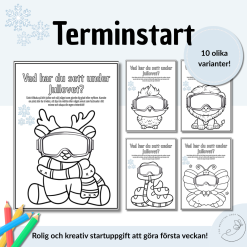 Terminstart